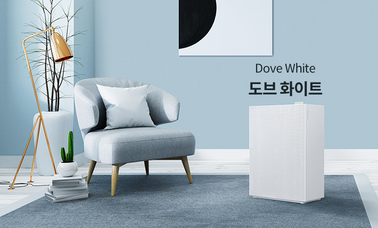 도브 화이트