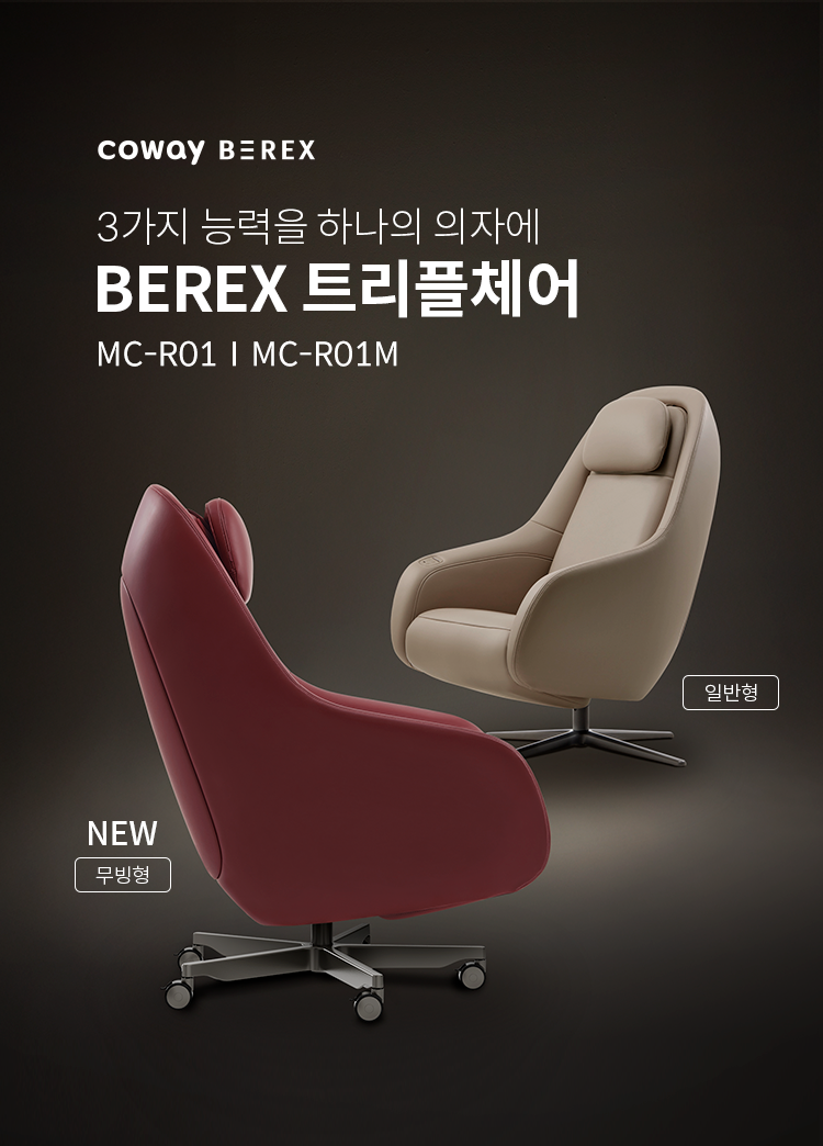 메인