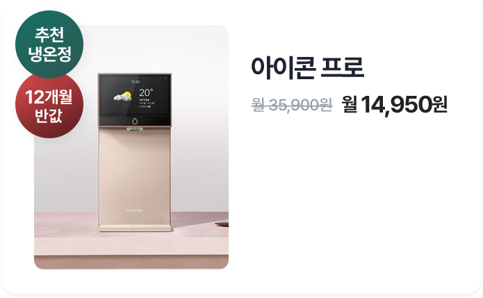 아이콘 프로