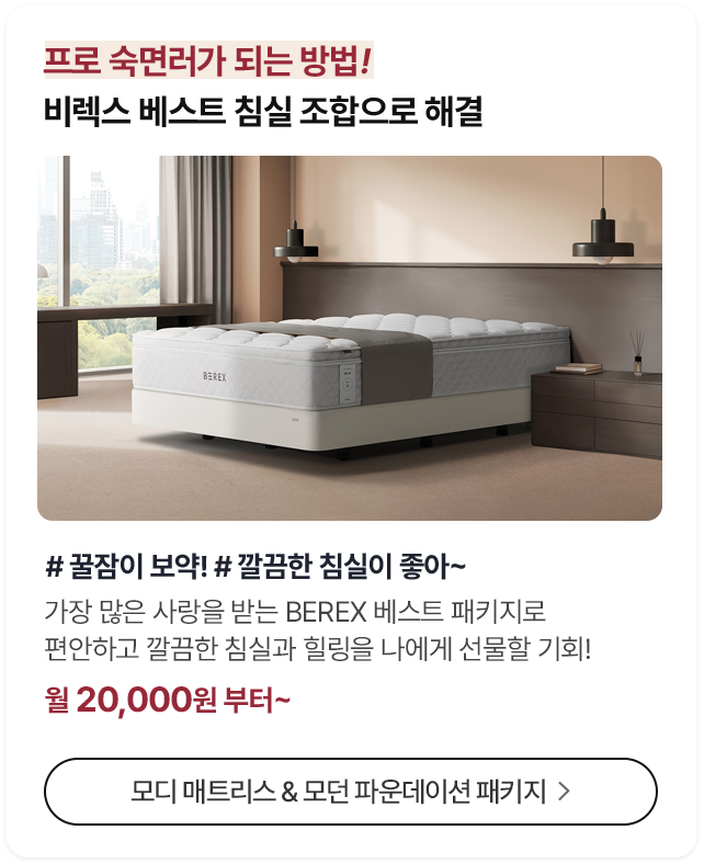 스타일 비데