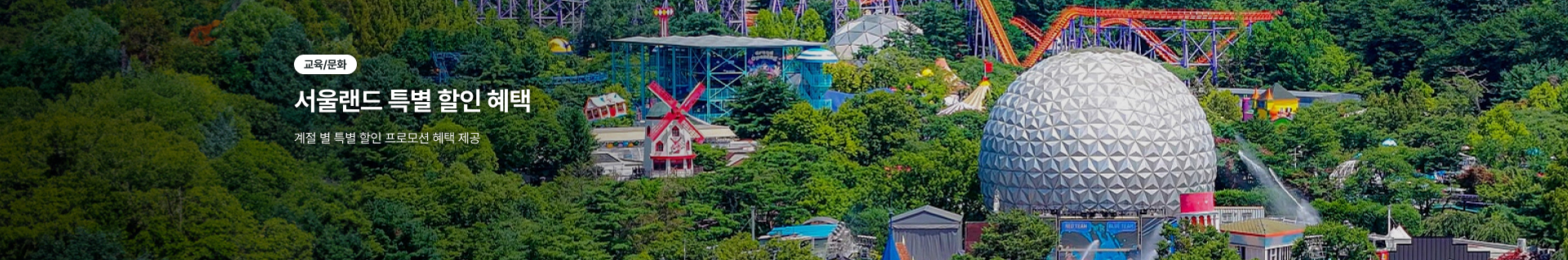 main_kv