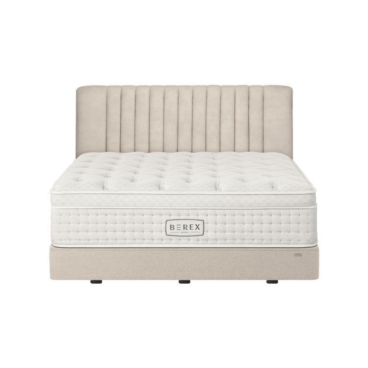 BEREX 볼륨 프레임_킹(K) 이미지 2